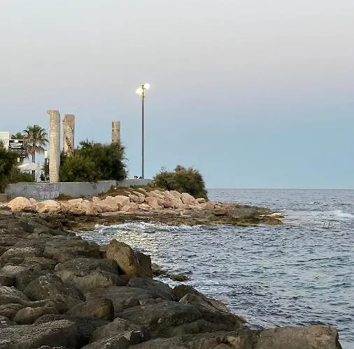 San Pascual 托雷维耶哈