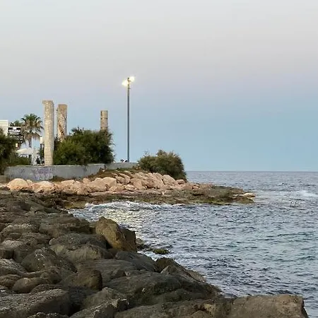 San Pascual Торевьиа